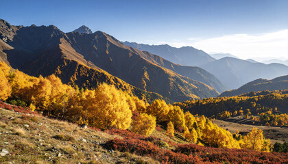 Autumn mountain landscape with golden trees and clear blue sky in bright sunlight