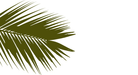 Obraz premium Green Palm Leaf Silhouette on White Background