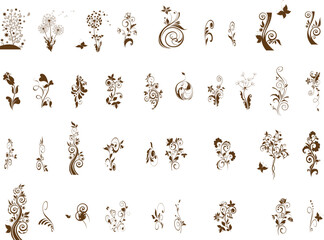  Variety of Hand-Drawn Botanical vector designs