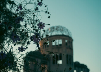 The Atomic Bomb Dome and the silhouette of cosmos flowers in the evening