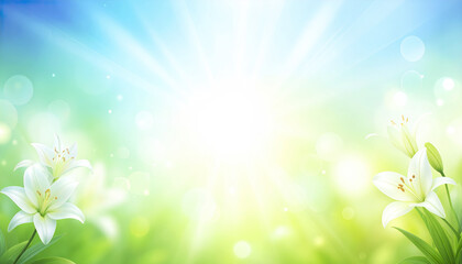 Fototapeta premium Bright spring background with white lily flowers and glowing sunlight rays