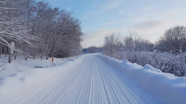 Cross country skiing trail through snowy forest in winter