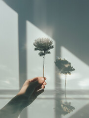 Minimal background with plant expression Nature in hand from POV perspective