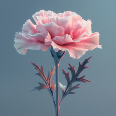  Elegant Pink Carnation on a Muted Background,