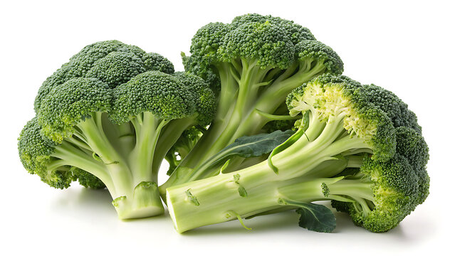 Broccoli Fresh Green Florets On White Background For Vegan Food
