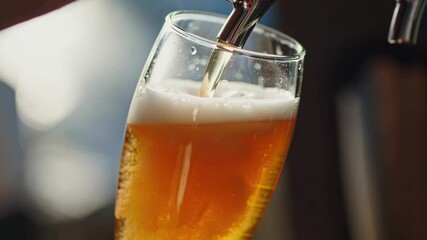 Light beer pouring into tall glass, great for brewery marketing, sports bar promotions or festival event visuals