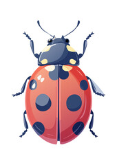 Flat Vector Illustration of a Cute Cartoon Ladybug