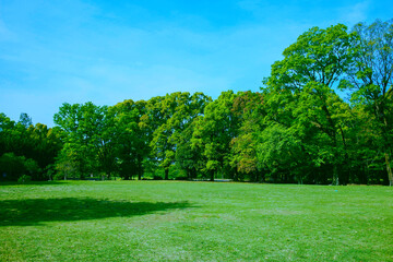 緑の公園