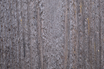 Detailed view of rough textured wood showing natural patterns under soft light in a serene setting