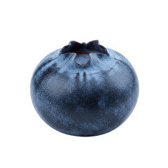 A single, perfectly ripe indigo blueberry with a green crown, macro lens detail, ultra realistic, presented from a high angle against a transparent background with copy space, embodying a pure