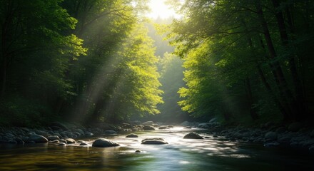 Fototapeta premium Serene Forest Stream with Sunlight Filtering Through Lush Foliage