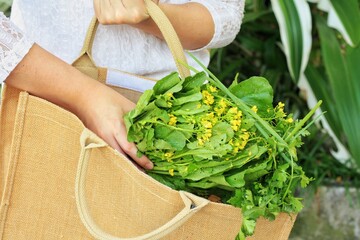 Asian woman add green vegetable into tote bag with green garden background.Use tote bag for...