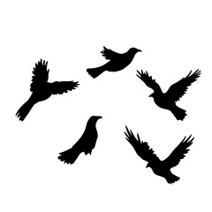 Obraz premium A vector set of flying bird silhouettes, including eagles, doves, and falcons, perfect for nature and wildlife designs