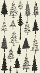 Fototapeta premium Evergreen Anthology