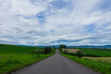 どこまでも続く北海道の道