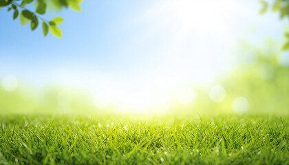 Sunny green grass with bright blue sky and fresh leaves in spring meadow