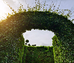 A beautiful garden that is filled with numerous bushes and trees