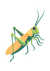Flat Vector Illustration of a Cute Cartoon Grasshopper
