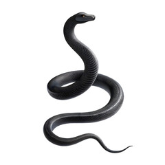Flat and minimal giant Snake of silhouette vector 3D Minimalist art illustration on a transparent background