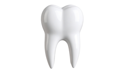 Human tooth model featuring gums, dentures, and dental implants with realistic detail and medical accuracy