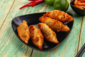 Asian fried stuffed dumplings gyoza