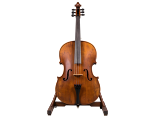 Vintage cello stands gracefully on black