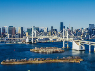 Fototapeta premium 【東京都】お台場から見た東京の風景