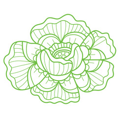Green flower pattern hand drawn for adult coloring book