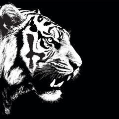 vector illustration of a tiger