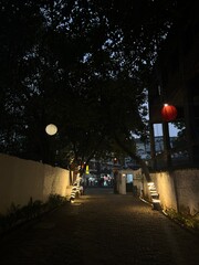 Atmospheric Night Pathway Lined with Lanterns and Trees