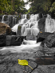 A waterfall with a smooth texture flows over black rocks with a foreground of yellow dry leaves