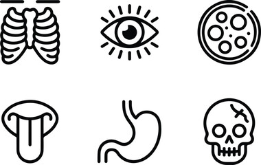 Medical Anatomy Line Icons Set . Human Body Parts And Outline Vector Illustrations.