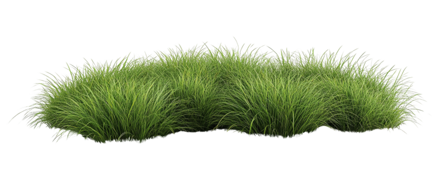 Lush green grass clumps together, creating a vibrant and natural texture isolated on transparent background
