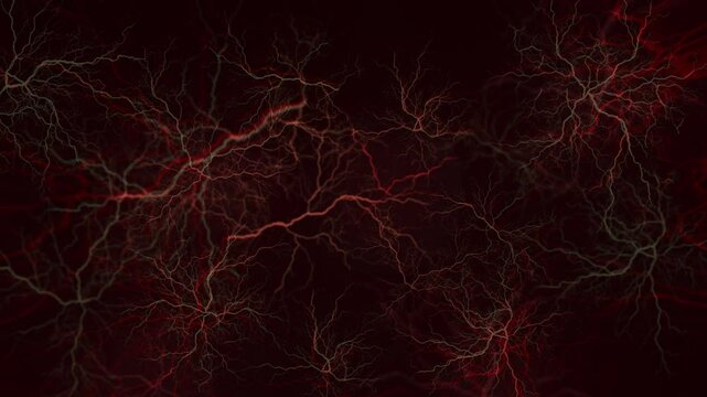 Human veins biological background