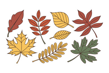 Obraz premium Hand Drawn Autumn Leaves Collection, Colorful Fall Foliage Vector Illustration, Isolated Maple, Oak, and Other Leaf Set on White Background