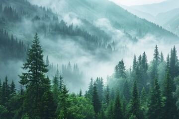 Mystical coniferous forest landscape shrouded in ethereal morning mist