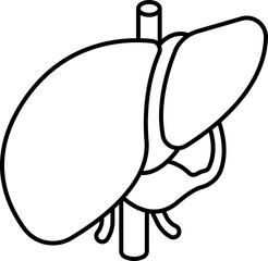 Liver Icon Illustrations