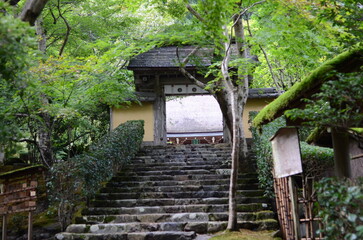 【京都】大原　寂光院の山門と石段の参道