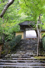 【京都】大原　寂光院の山門と石段の参道