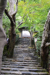 【京都】大原　寂光院の山門と石段の参道