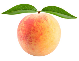 Isolated peach with leaves on black background