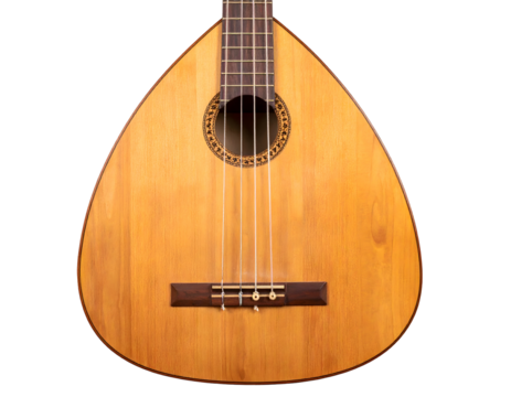 Close up of a Portuguese guitar