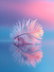 Obraz premium Delicate pastel-colored feather with reflective surface and soft gradient background