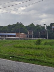 tropical landscape featuring lush green fields and various trees