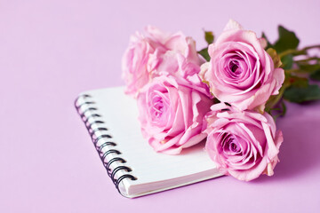 Elegant pink roses resting on a spiral-bound notebook against a pastel background
