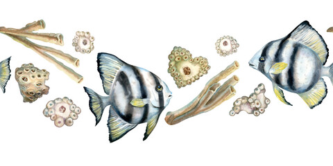 Naklejka premium Seamless border of black-white striped tropical fish, beige corals on the reefs. Watercolor template of seascape in beige tones isolated on white background for sea design, diving, scrapbook, sticker