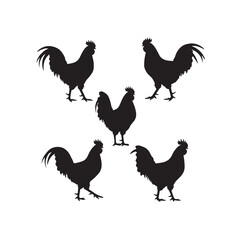 Rooster Silhouettes icon vector flat illustration on white background.