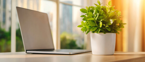 Fototapeta premium Modern Workspace with Laptop and Potted Plant in Bright Office Setting for Creative Inspiration