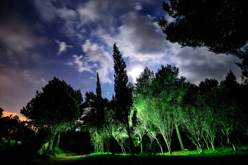 fotografía nocturna con cielo estrellado y nubes blancas, bosque iluminado con luces blancas y...