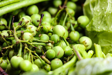Pea eggplant in the vegetable stall in the market